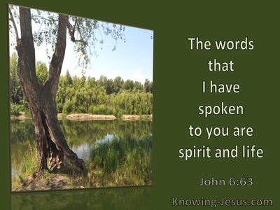 John 6:63 The Words I Have Spoken Are Spirit and Life (windows)11:02